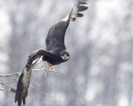 Entry image for target lock. Clicking this image will show a larger photo