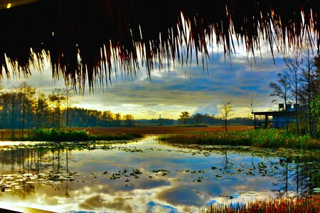 Entry image for colors of the preserve. Clicking this image will show a larger photo