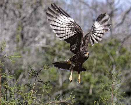 Entry image for snailing along. Clicking this image will show a larger photo