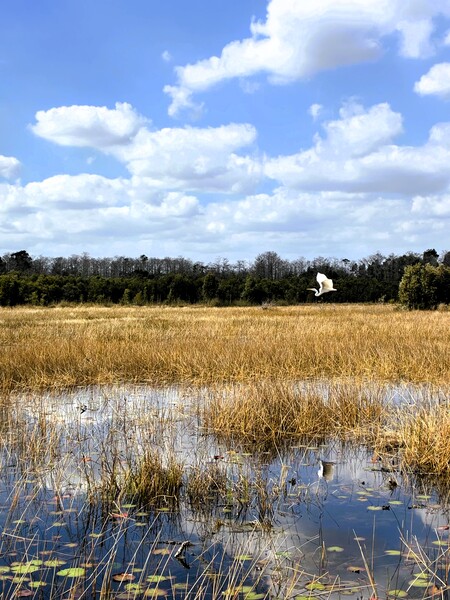 Entry image for Soaring Over the World. Clicking this image will show a larger photo