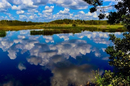 Entry image for Cloud Cover. Clicking this image will show a larger photo