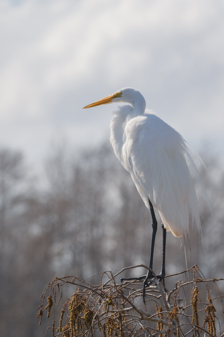 Entry image for 0 rEgrets. Clicking this image will show a larger photo