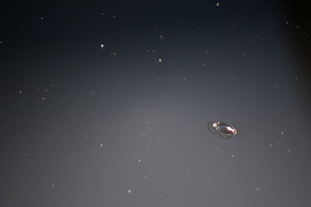 Entry image for Whirling Through Space. Clicking this image will show a larger photo