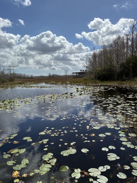 Entry image for Beautiful View. Clicking this image will show a larger photo