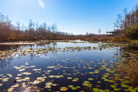 Entry image for Into the Horizon. Clicking this image will show a larger photo