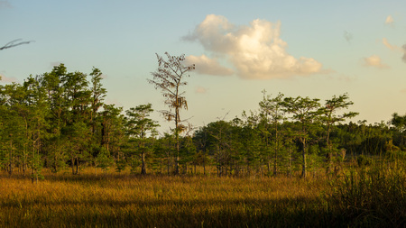 Entry image for Something simple. Clicking this image will show a larger photo