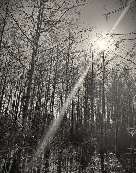 Entry image for Where the Light Finds You. Clicking this image will show a larger photo