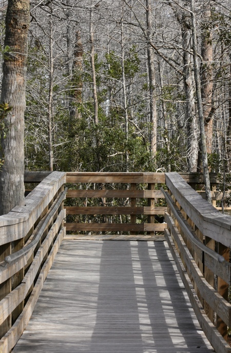 Entry image for The bridge to _______.. Clicking this image will show a larger photo