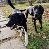 Entry image for Cece with big brother Simon