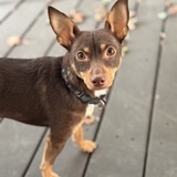 Entry image for Malcolm