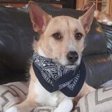 Entry image for Spencer Reid