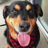 Entry image for Sophie