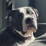 Entry image for Rock