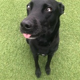 Entry image for Summer