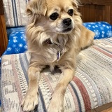 Entry image for Mindy