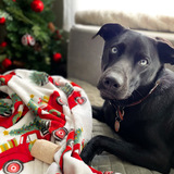 Entry image for Murphy