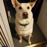 Entry image for LUCKY