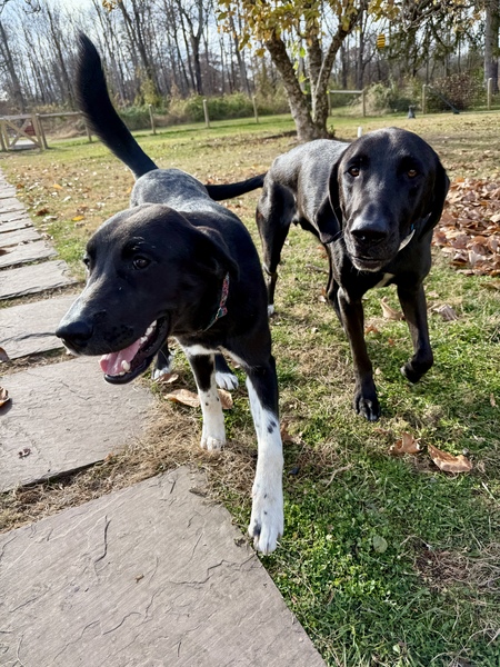 Entry image for Cece with big brother Simon. Clicking this image will show a larger photo