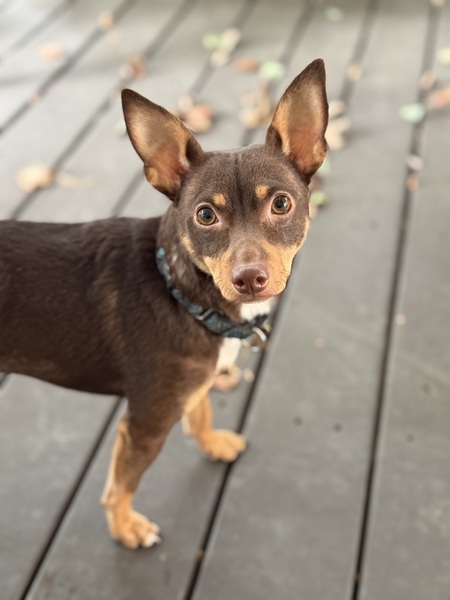 Entry image for Malcolm. Clicking this image will show a larger photo