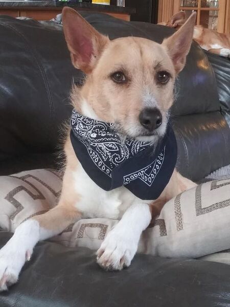 Entry image for Spencer Reid. Clicking this image will show a larger photo