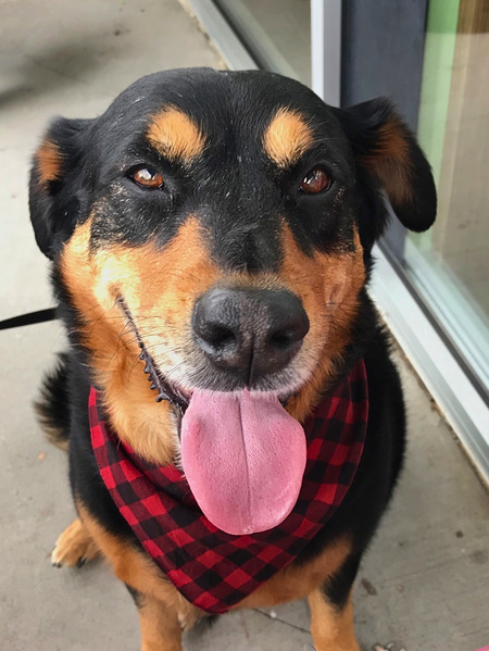 Entry image for Sophie. Clicking this image will show a larger photo