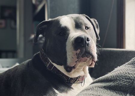 Entry image for Rock. Clicking this image will show a larger photo