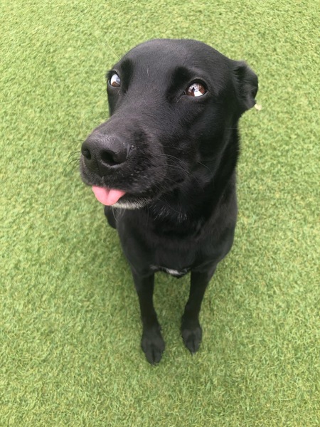 Entry image for Summer. Clicking this image will show a larger photo