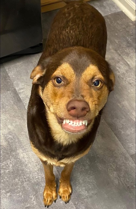 Entry image for Blu. Clicking this image will show a larger photo