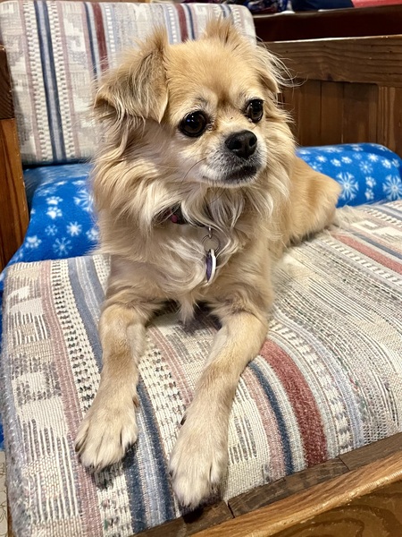 Entry image for Mindy. Clicking this image will show a larger photo