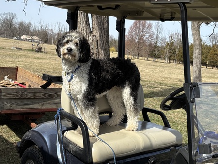 Entry image for Ophelia Berner. Clicking this image will show a larger photo