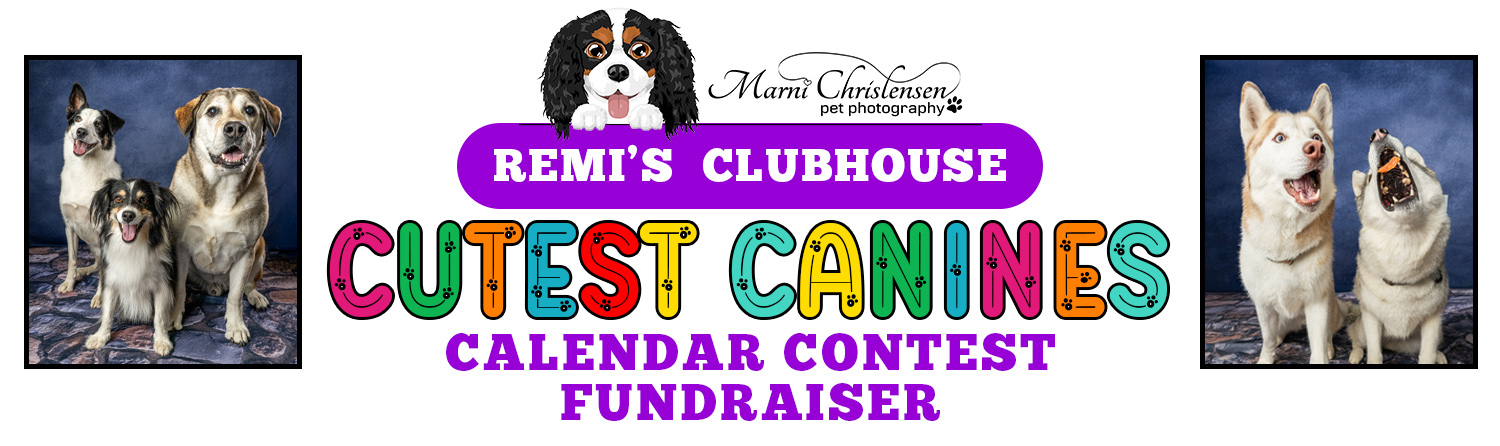 Banner for Remi’s Clubhouse Cutest Canines Calendar Contest