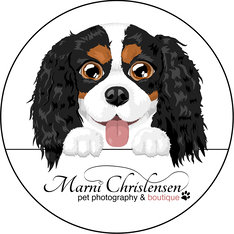 Logo for Remi’s Clubhouse Cutest Canines Calendar Contest