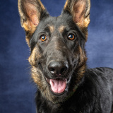 Entry image for Kira