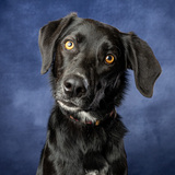 Entry image for Betty