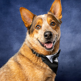 Entry image for Reef