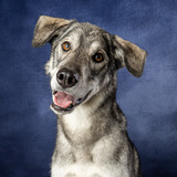 Entry image for Kenai