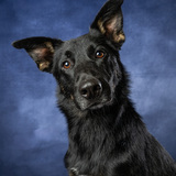 Entry image for Sixx