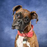 Entry image for Ellie Mae