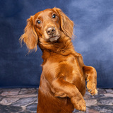 Entry image for Maxx