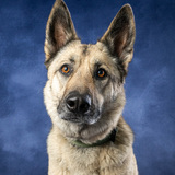 Entry image for Hawaii