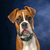 Entry image for Buford