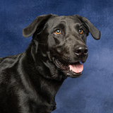 Entry image for Sabine