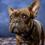 Entry image for Walter