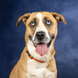 Entry image for Winnie