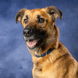 Entry image for Arthur