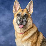 Entry image for Journey