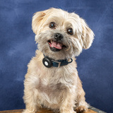 Entry image for Thor