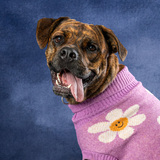 Entry image for Athena