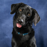 Entry image for Barkley H