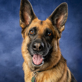 Entry image for Nala